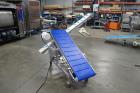 Reclaim Conveyor